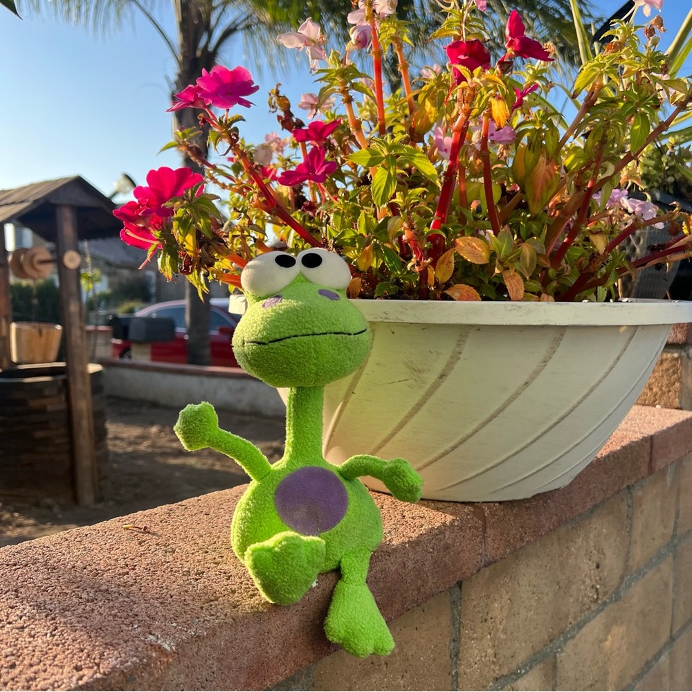 Bobblehead Green Frog Stuffed Animal Plush Toy Boingers Bestever IncBobblehead